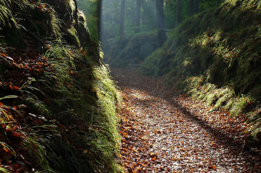 1755113 (a): :1920x1274